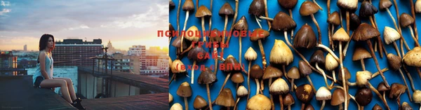 хмурый Богданович
