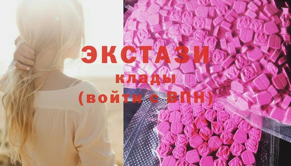 МДПВ Богородск