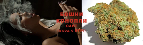 МДПВ Богородск