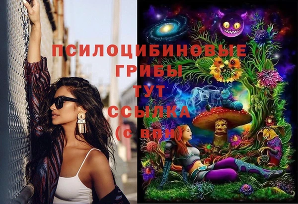 хмурый Богданович