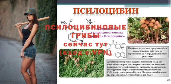 МДПВ Богородск