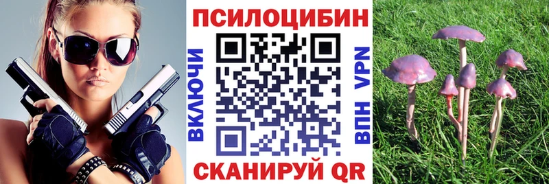 Галлюциногенные грибы Cubensis  Ялуторовск 